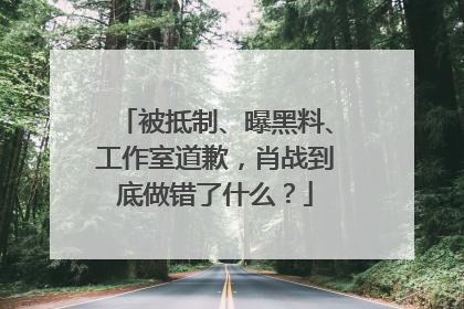被抵制、曝黑料、工作室道歉,肖战到底做错了什么?