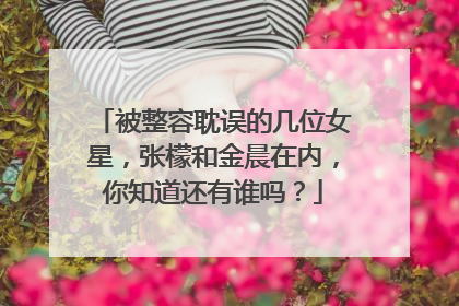 被整容耽误的几位女星,张檬和金晨在内,你知道还有谁吗?