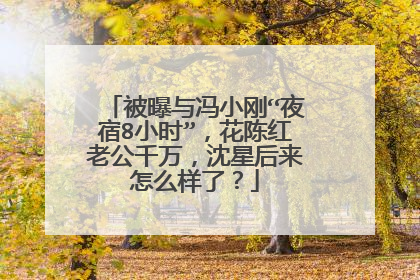 被曝与冯小刚“夜宿8小时”,花陈红老公千万,沈星后来怎么样了?