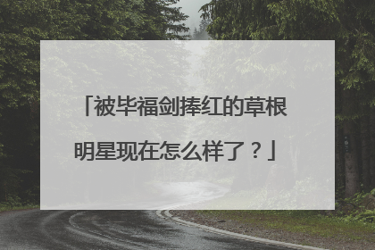 被毕福剑捧红的草根明星现在怎么样了？