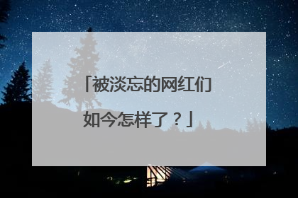 被淡忘的网红们如今怎样了？