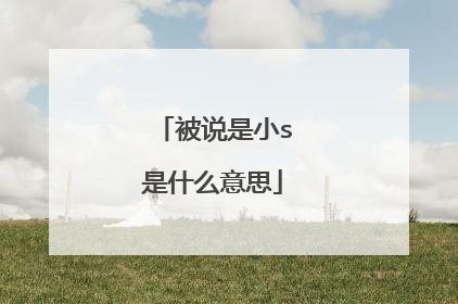 被说是小s是什么意思