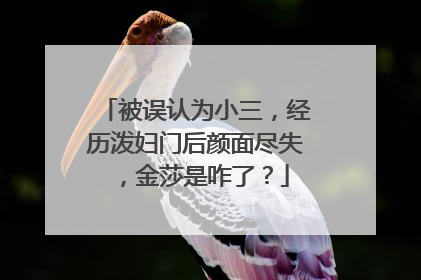 被误认为小三，经历泼妇门后颜面尽失，金莎是咋了？