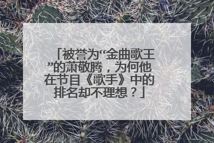 被誉为“金曲歌王”的萧敬腾,为何他在节目《歌手》中的排名却不理想?