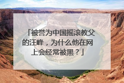 被誉为中国摇滚教父的汪峰，为什么他在网上会经常被黑？