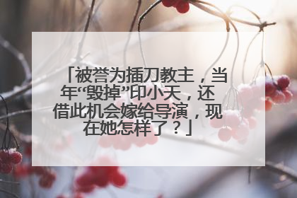 被誉为插刀教主,当年“毁掉”印小天,还借此机会嫁给导演,现在她怎样了?