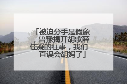 被迫分手是假象,鲁豫揭开胡歌薛佳凝的往事,我们一直误会胡妈了