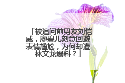 被追问前男友刘恺威,廖碧儿刻意回避表情尴尬,为何却遭林文龙爆料?