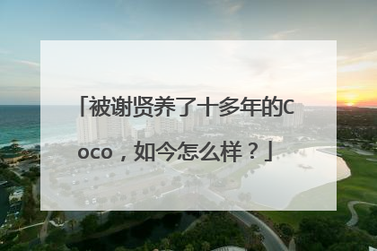 被谢贤养了十多年的Coco,如今怎么样?