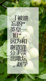 被遗忘的“英皇一姐”,因为和谢霆锋分手淡出歌坛,赵学而如今过得怎样?