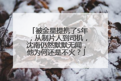 被金星提携了5年,从制片人到司机,沈南仍然默默无闻,他为何还是不火?