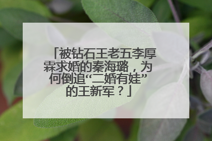 被钻石王老五李厚霖求婚的秦海璐，为何倒追“二婚有娃”的王新军？
