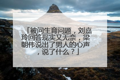 被问生育问题,刘嘉玲回答现实又无奈,梁朝伟说出了男人的心声,说了什么?