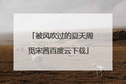 被风吹过的夏天周觅宋茜百度云下载