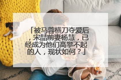 被马蓉横刀夺爱后，宋喆前妻杨慧，已经成为他们高攀不起的人，现状如何？
