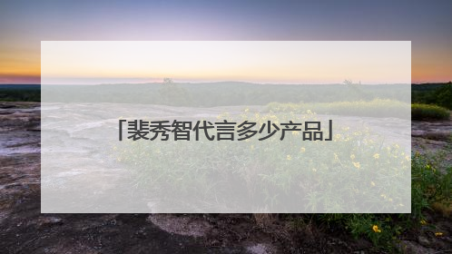 裴秀智代言多少产品