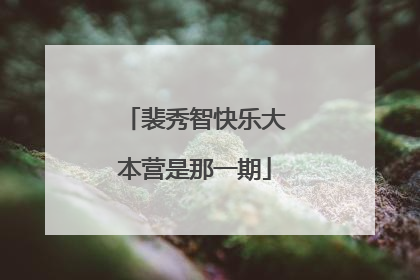 裴秀智快乐大本营是那一期