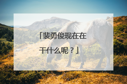 裴勇俊现在在干什么呢?