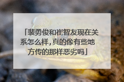 裴勇俊和崔智友现在关系怎么样,真的像有些地方传的那样恶劣吗