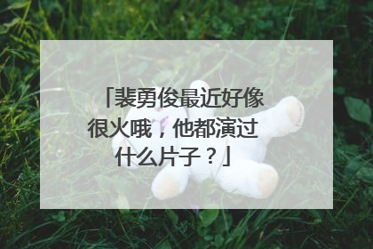 裴勇俊最近好像很火哦，他都演过什么片子？