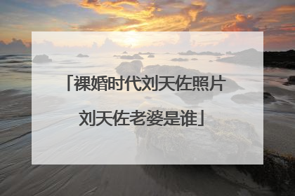 裸婚时代刘天佐照片 刘天佐老婆是谁