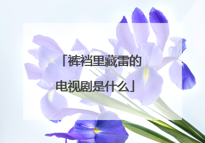 裤裆里藏雷的电视剧是什么