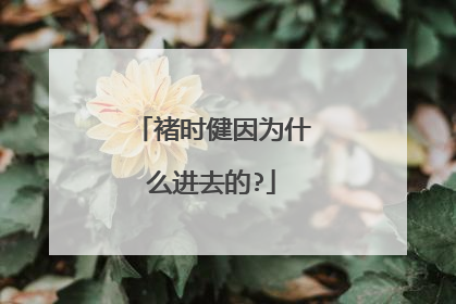 褚时健因为什么进去的?