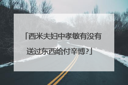 西米夫妇中孝敏有没有送过东西给付辛博?