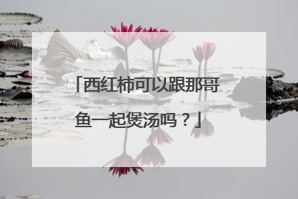 西红柿可以跟那哥鱼一起煲汤吗？