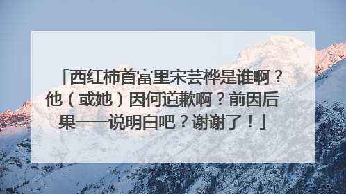 西红柿首富里宋芸桦是谁啊？他（或她）因何道歉啊？前因后果一一说明白吧？谢谢了！