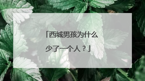 西城男孩为什么少了一个人?