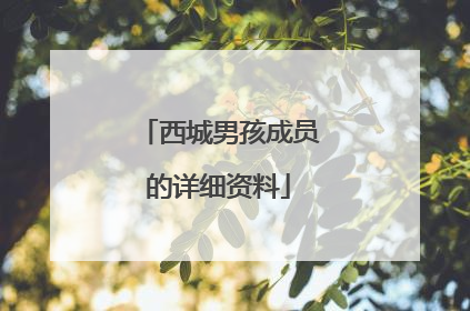 西城男孩成员的详细资料