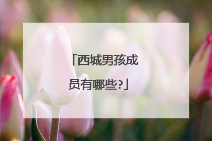 西城男孩成员有哪些?