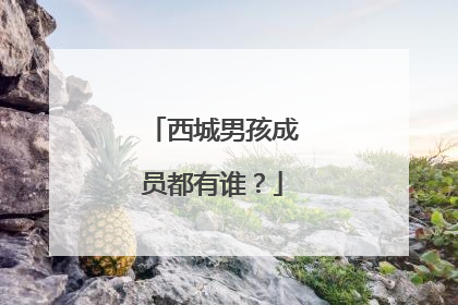 西城男孩成员都有谁?