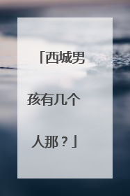 西城男孩有几个人那?