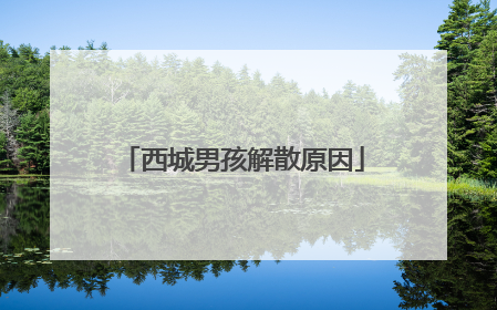 西城男孩解散原因