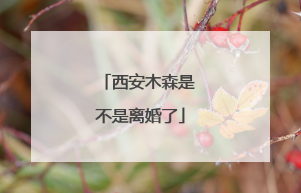 西安木森是不是离婚了