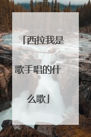 西拉我是歌手唱的什么歌