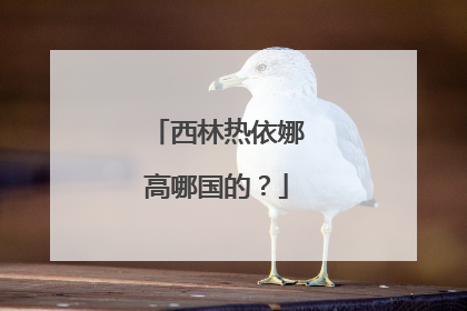 西林热依娜高哪国的？
