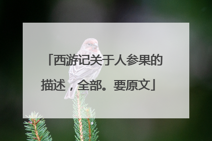 西游记关于人参果的描述，全部。要原文