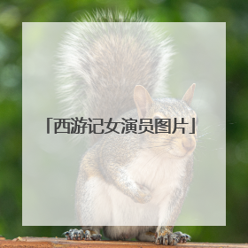 西游记女演员图片