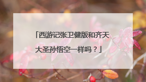 西游记张卫健版和齐天大圣孙悟空一样吗?