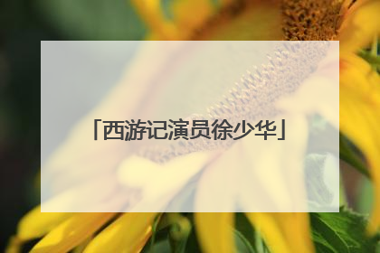 西游记演员徐少华