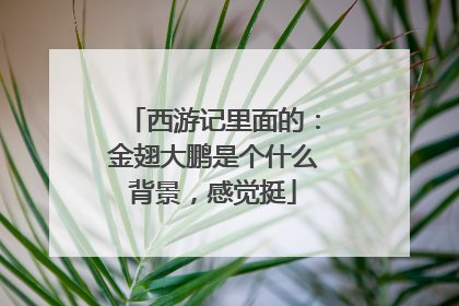 西游记里面的:金翅大鹏是个什么背景,感觉挺