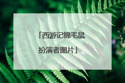 西游记锦毛鼠扮演者图片