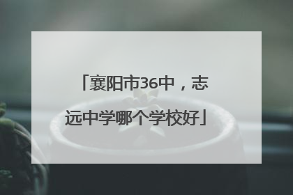 襄阳市36中，志远中学哪个学校好