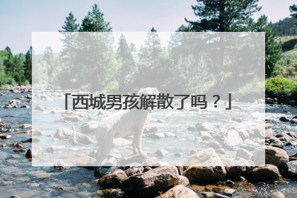 西城男孩解散了吗?