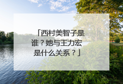 西村美智子是谁？她与王力宏是什么关系？