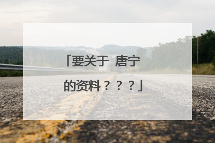 要关于 唐宁  的资料？？？