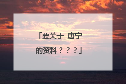 要关于 唐宁 的资料???
